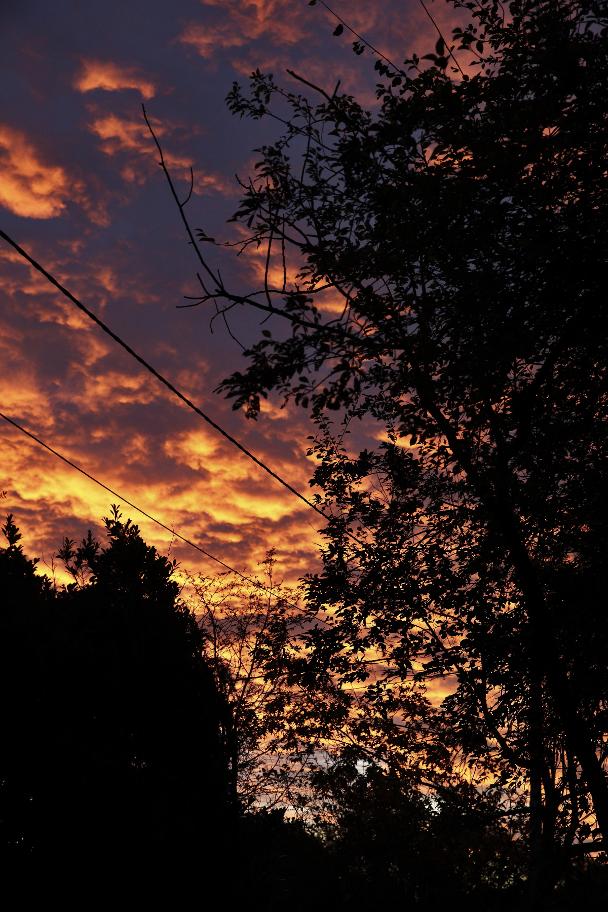 After all day grey in the sky, I wake up to clouds lit up by rising sun