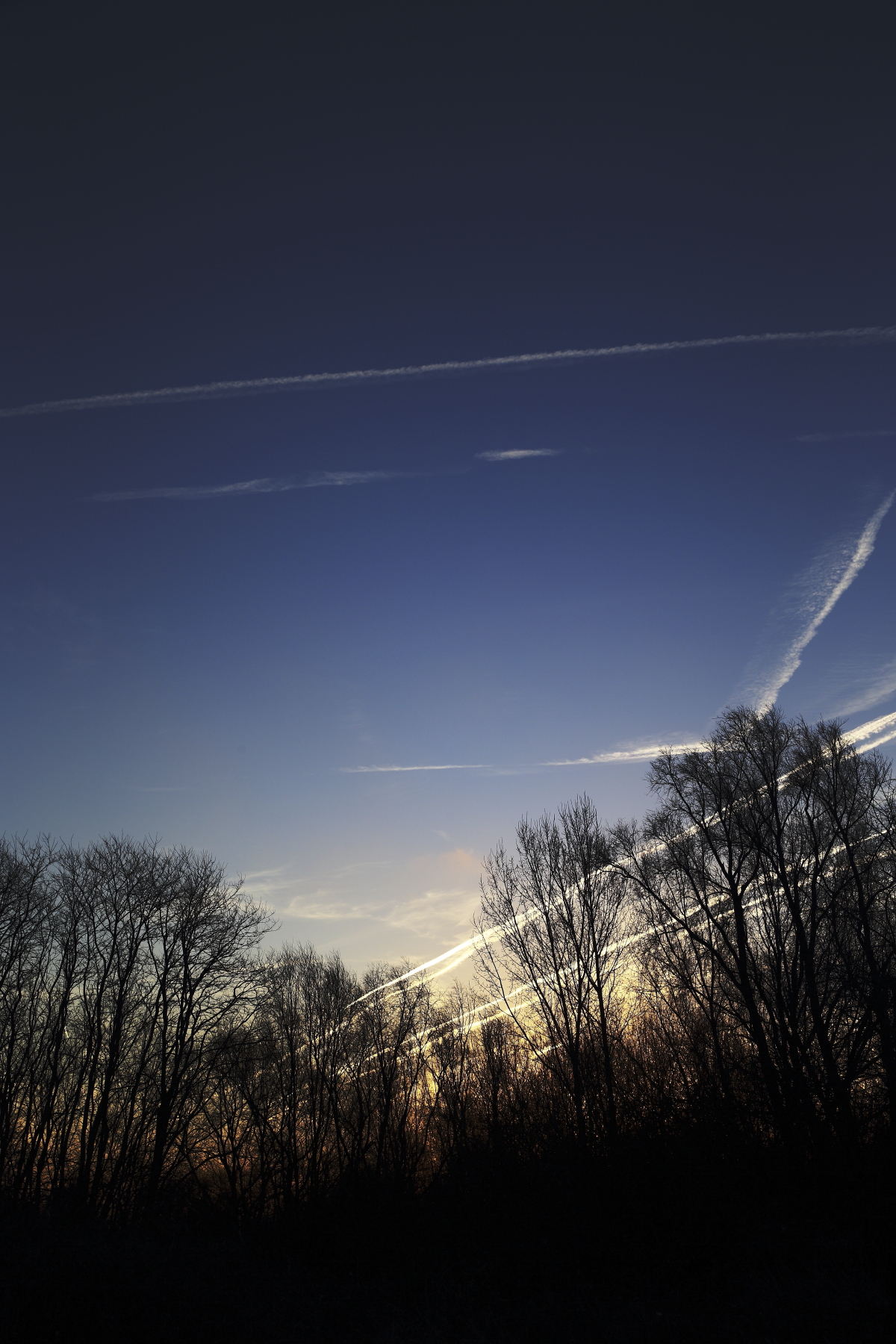 First Belgium Morning