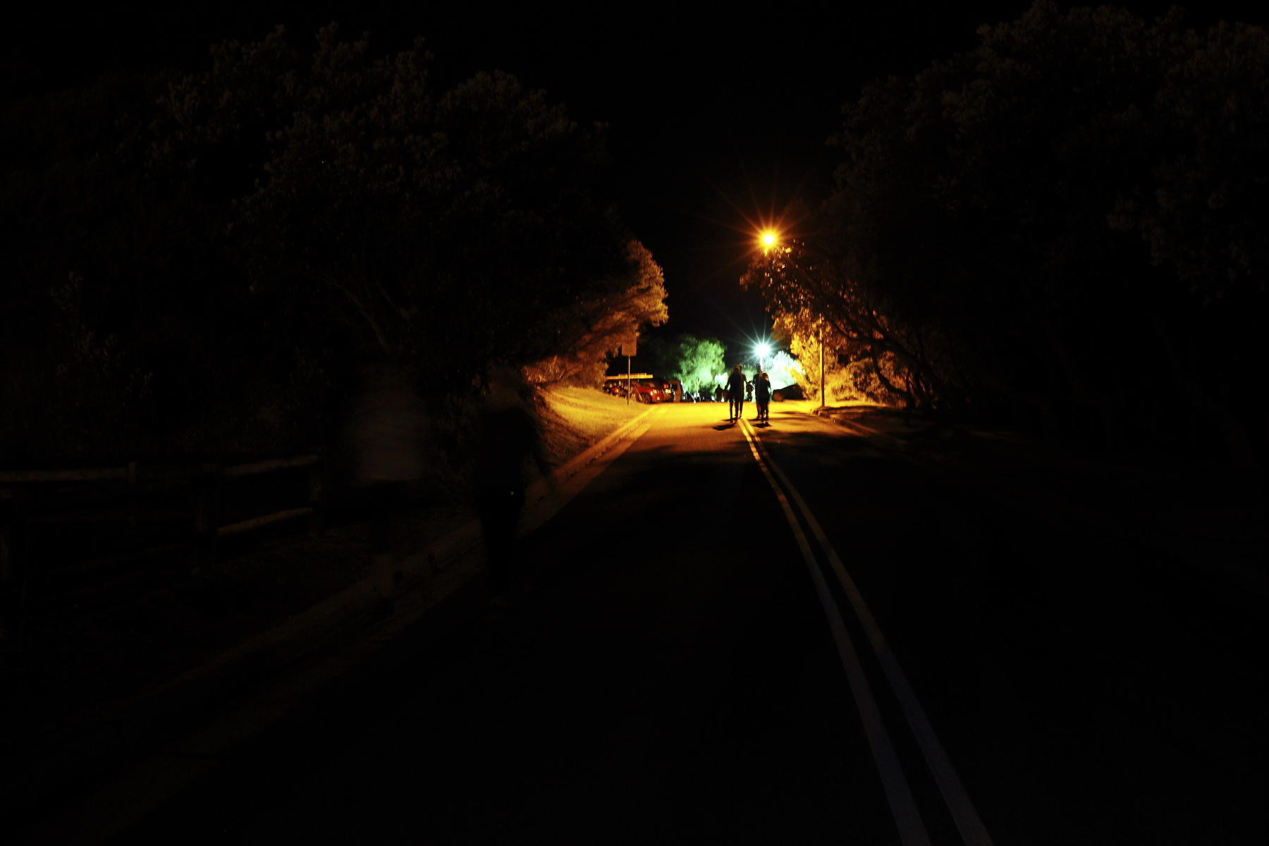 Long Reef Sculptures By Night