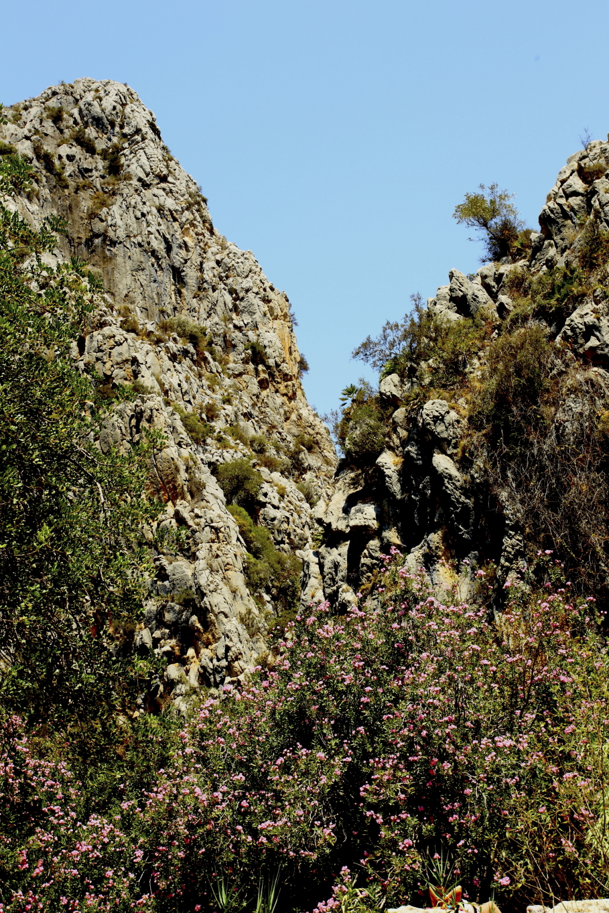 After Xabia, we head inland to visit Fuentes De L’Algar