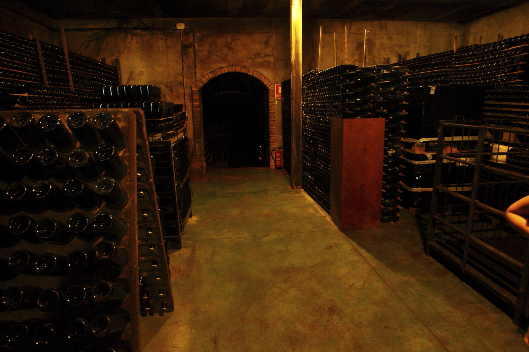 Visit to the Felix Massana Cava Cellar