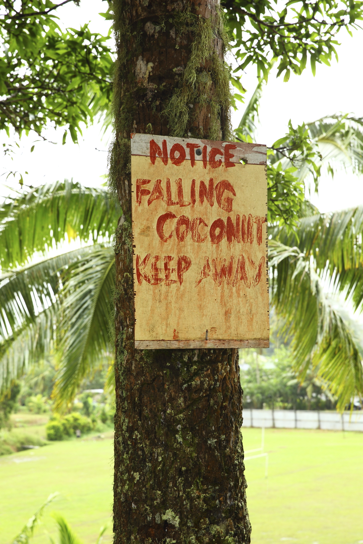 Visit to Tailevu North College, Fiji