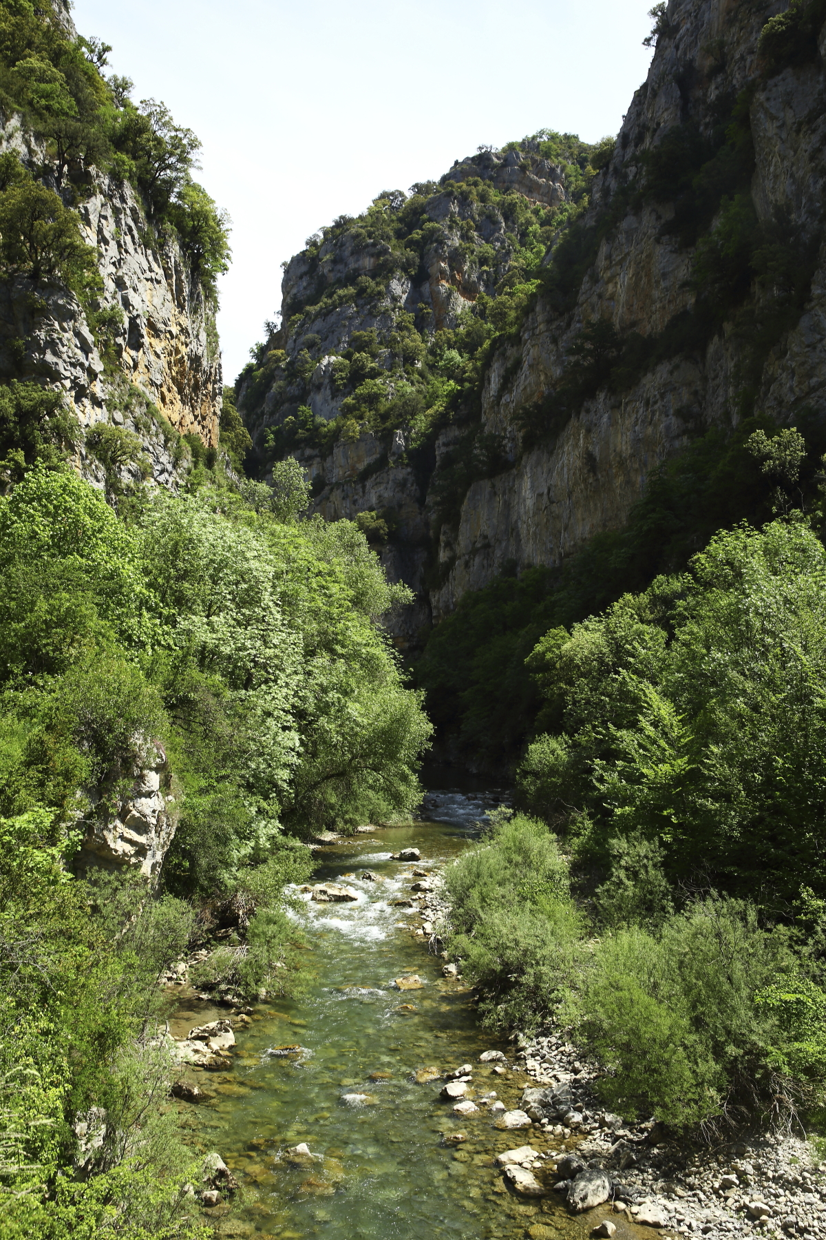 Trails Around Camping Zuriza