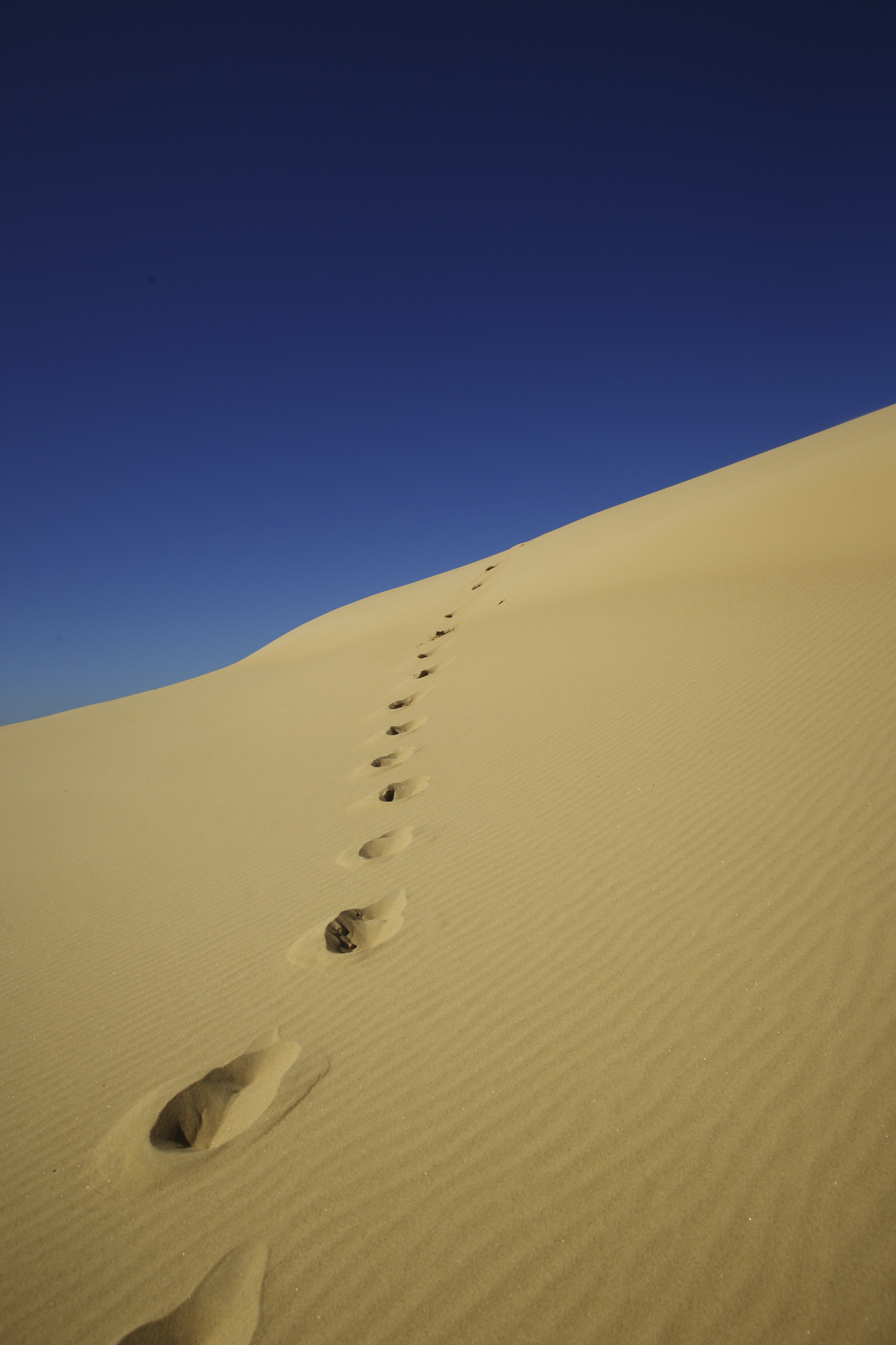 Anna Bay, Stockton Beach, Australia