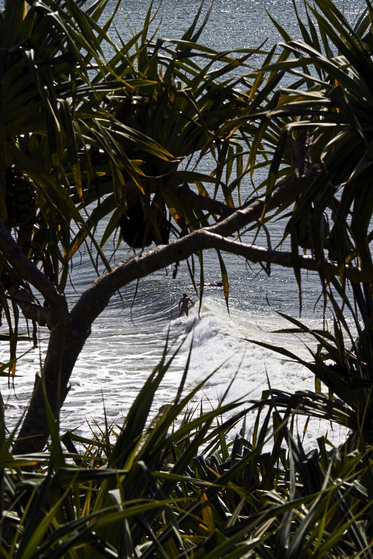 Greenmount, Rainbow Bay and up to Snapper Rocks