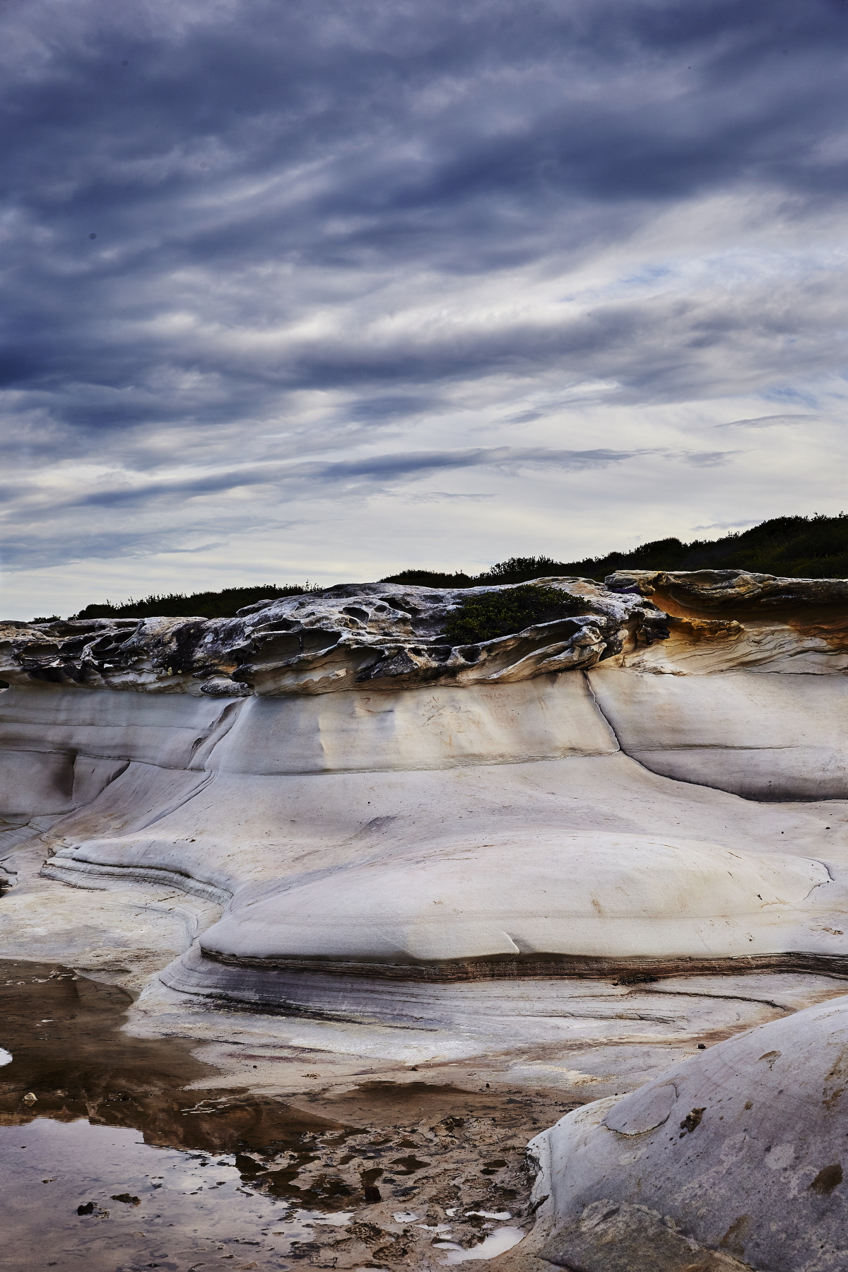 Marley Beach, South Sydney National Park and Whale watching