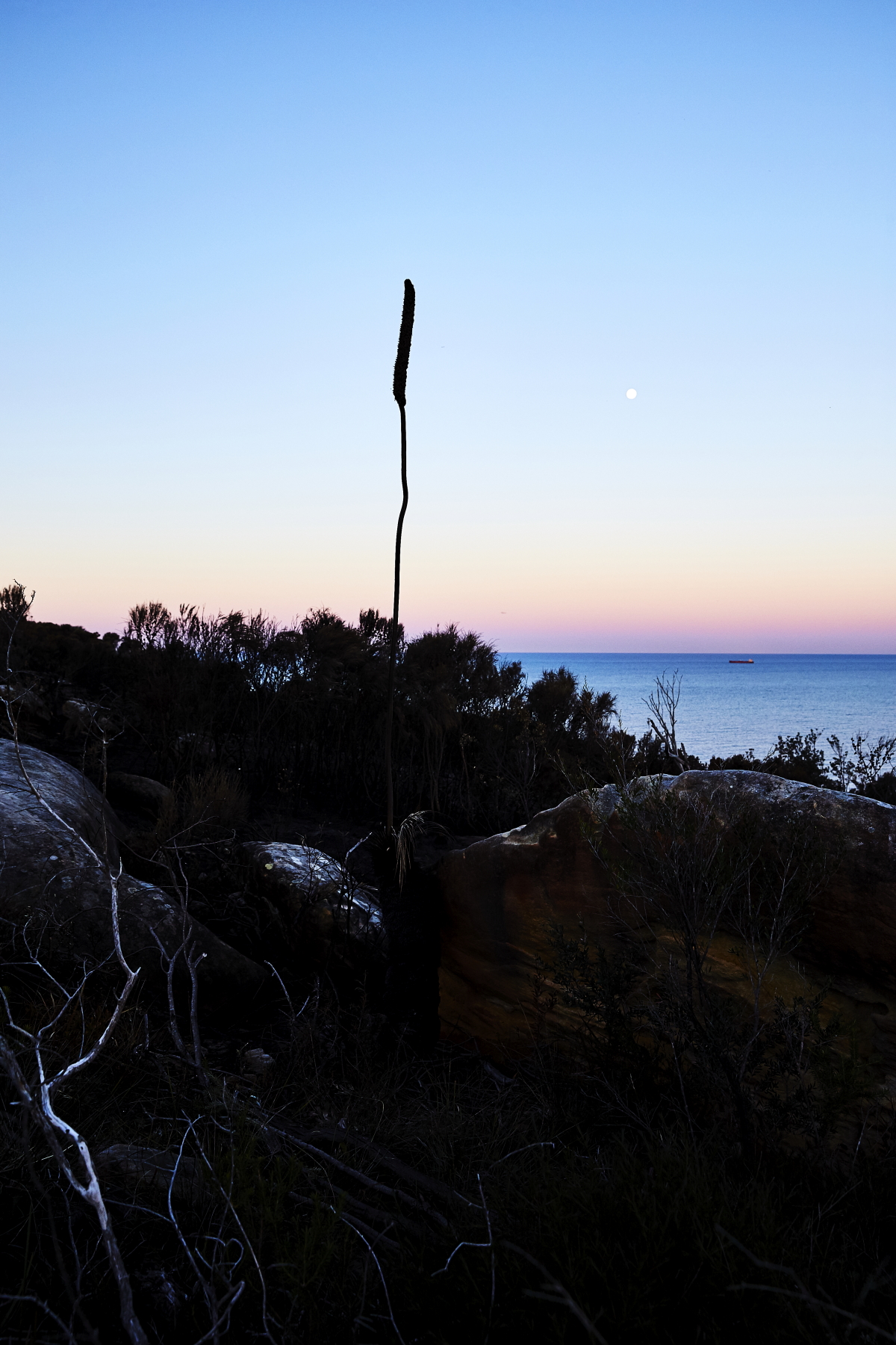 Bangalley Headland Fire