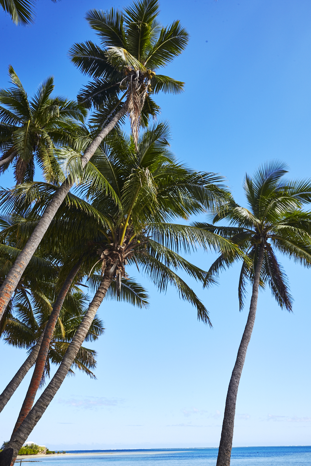 Tropica Island Resort, Malolo Island, Fiji