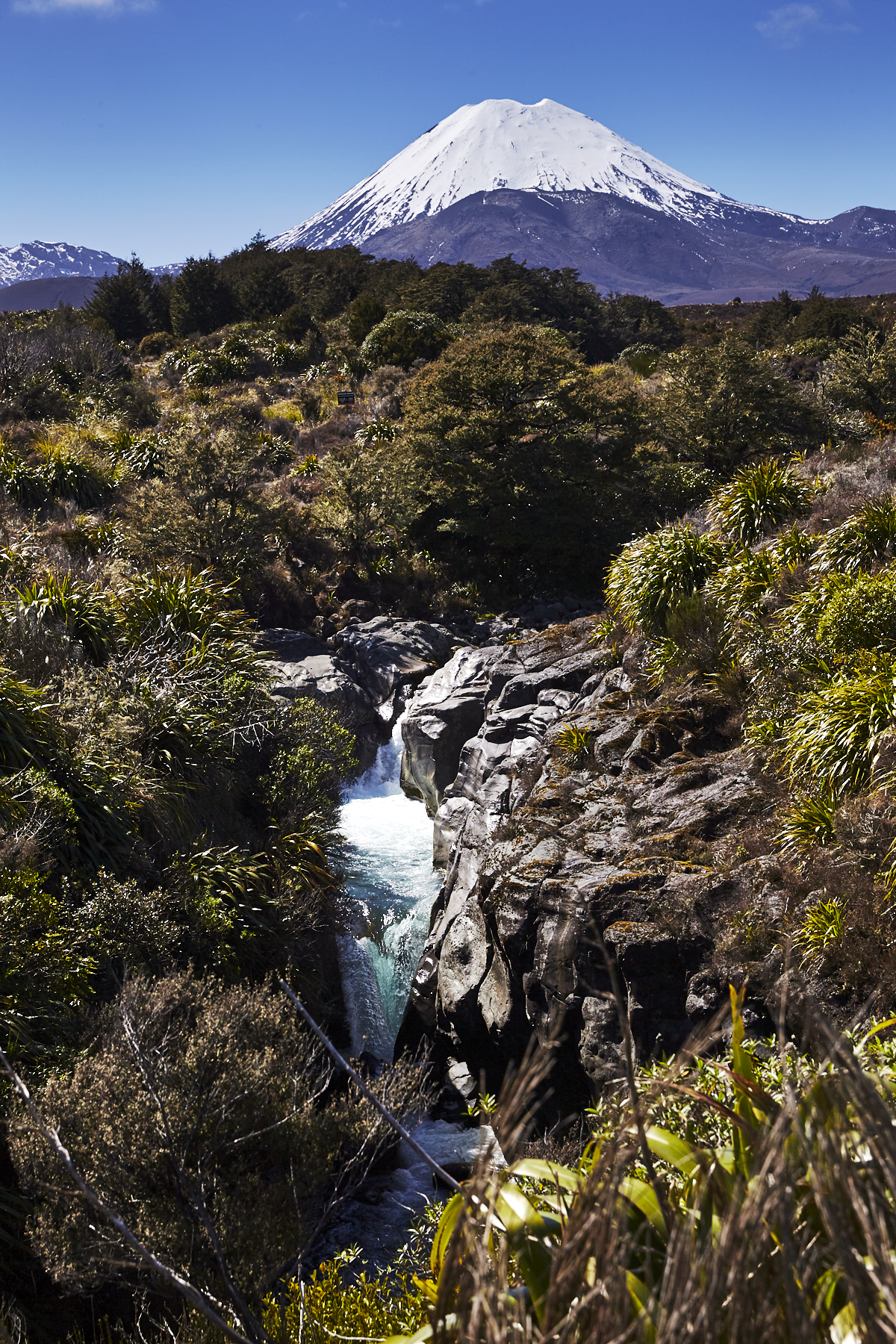 Drive to Taupo from Tongariro