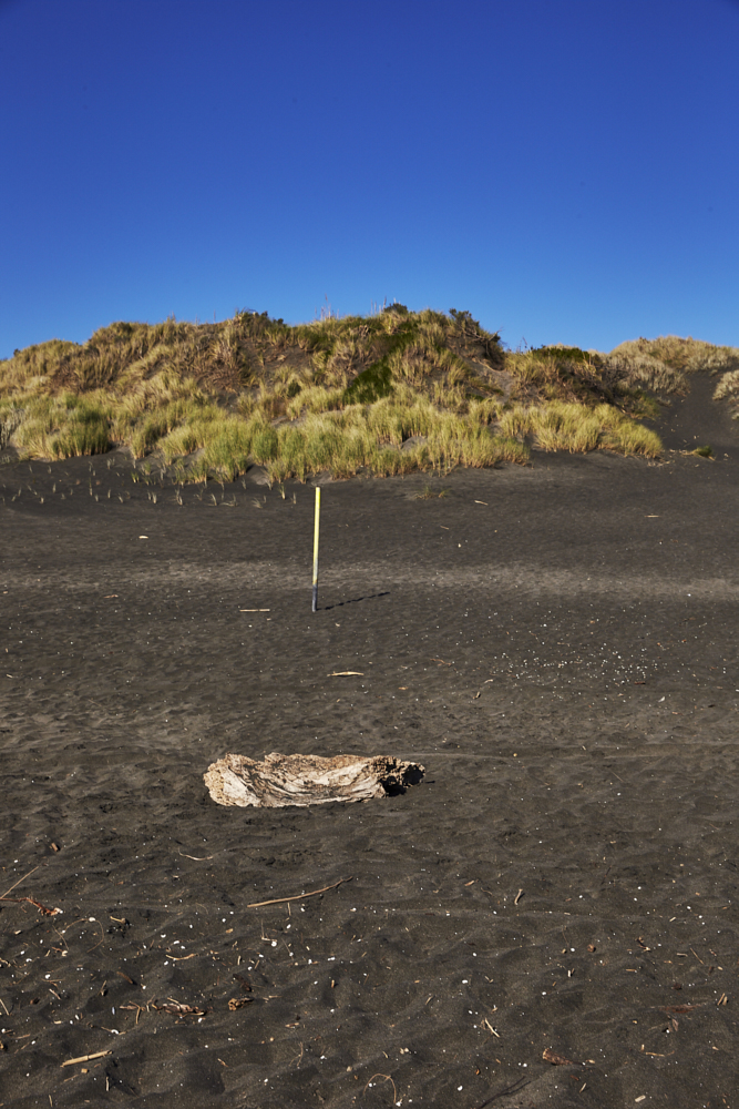 Te Puia Springs at Kawhia Beach, North Island West Coast, New Zealand