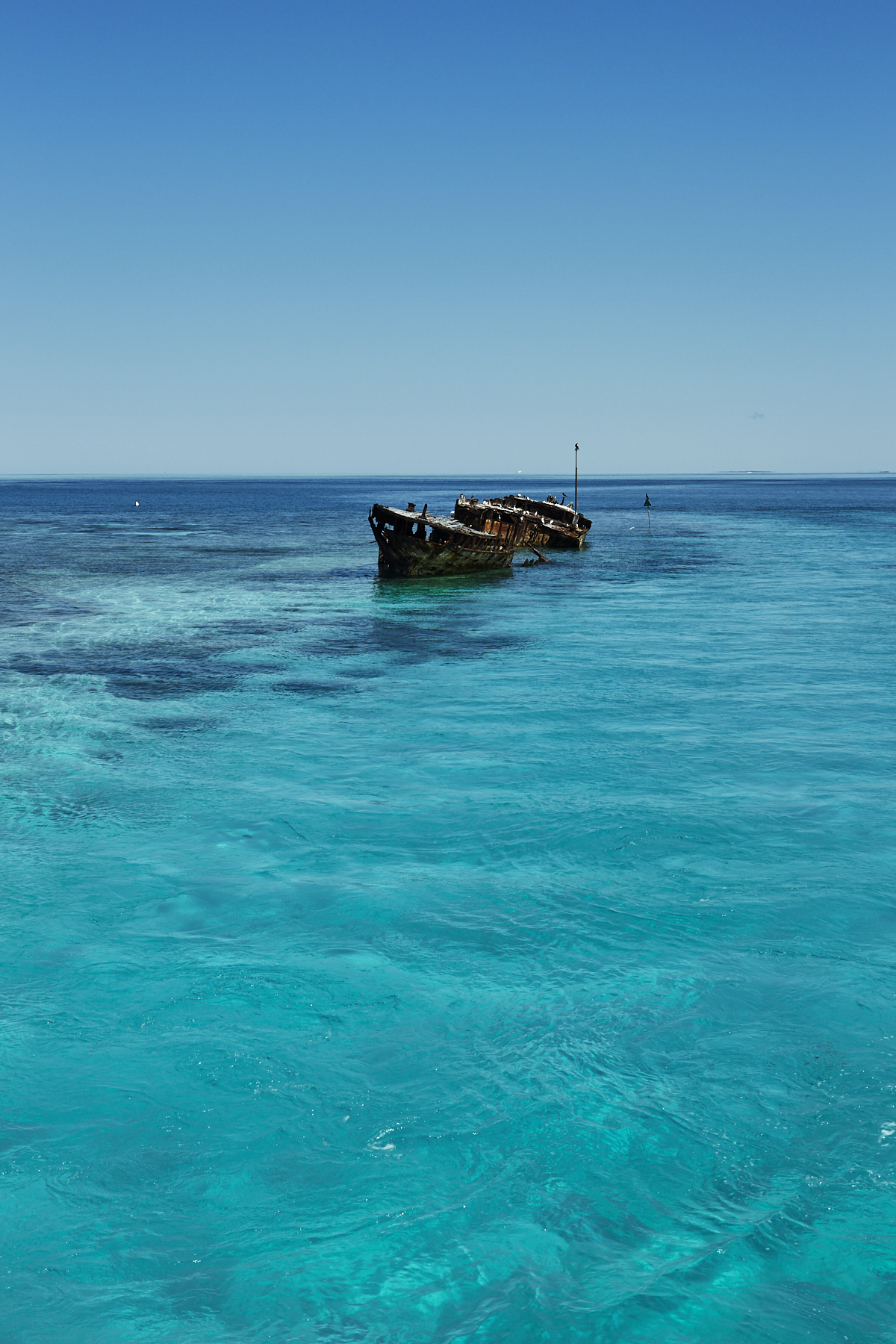 Gladstone Ferry Ride to Heron Island