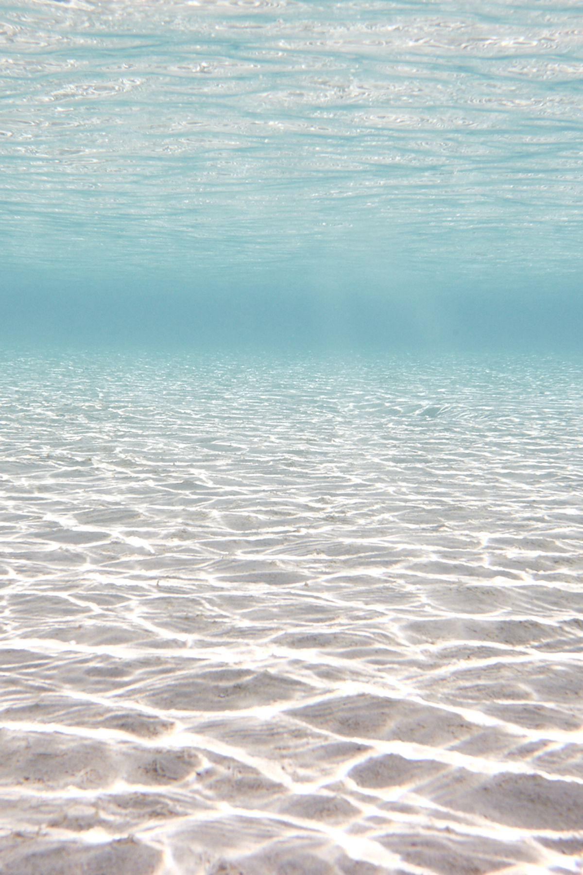 Aquatic Life at Heron Island, first dive