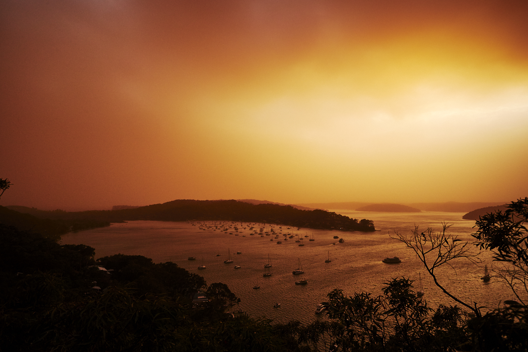 Palm Beach covered in smoke from Bush fires