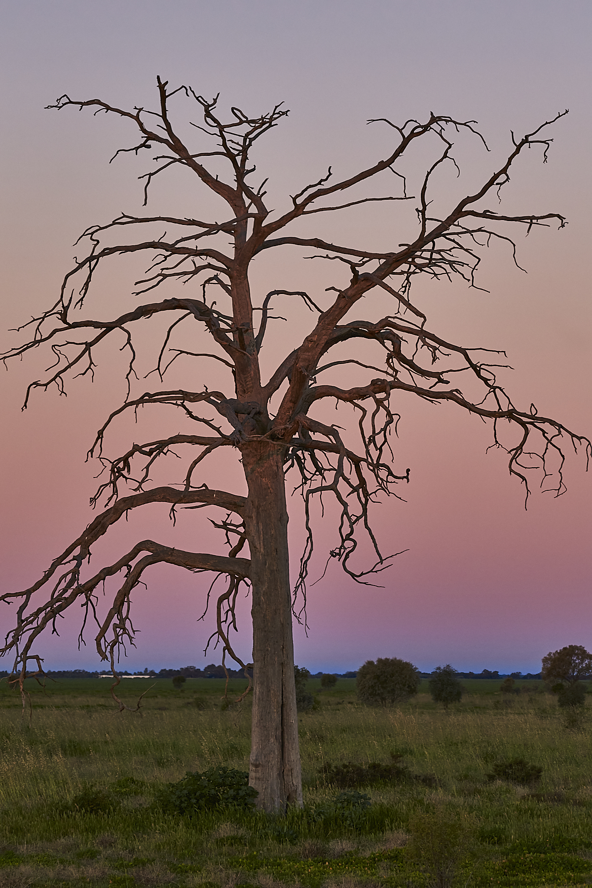 Lake Mungo Woolshed