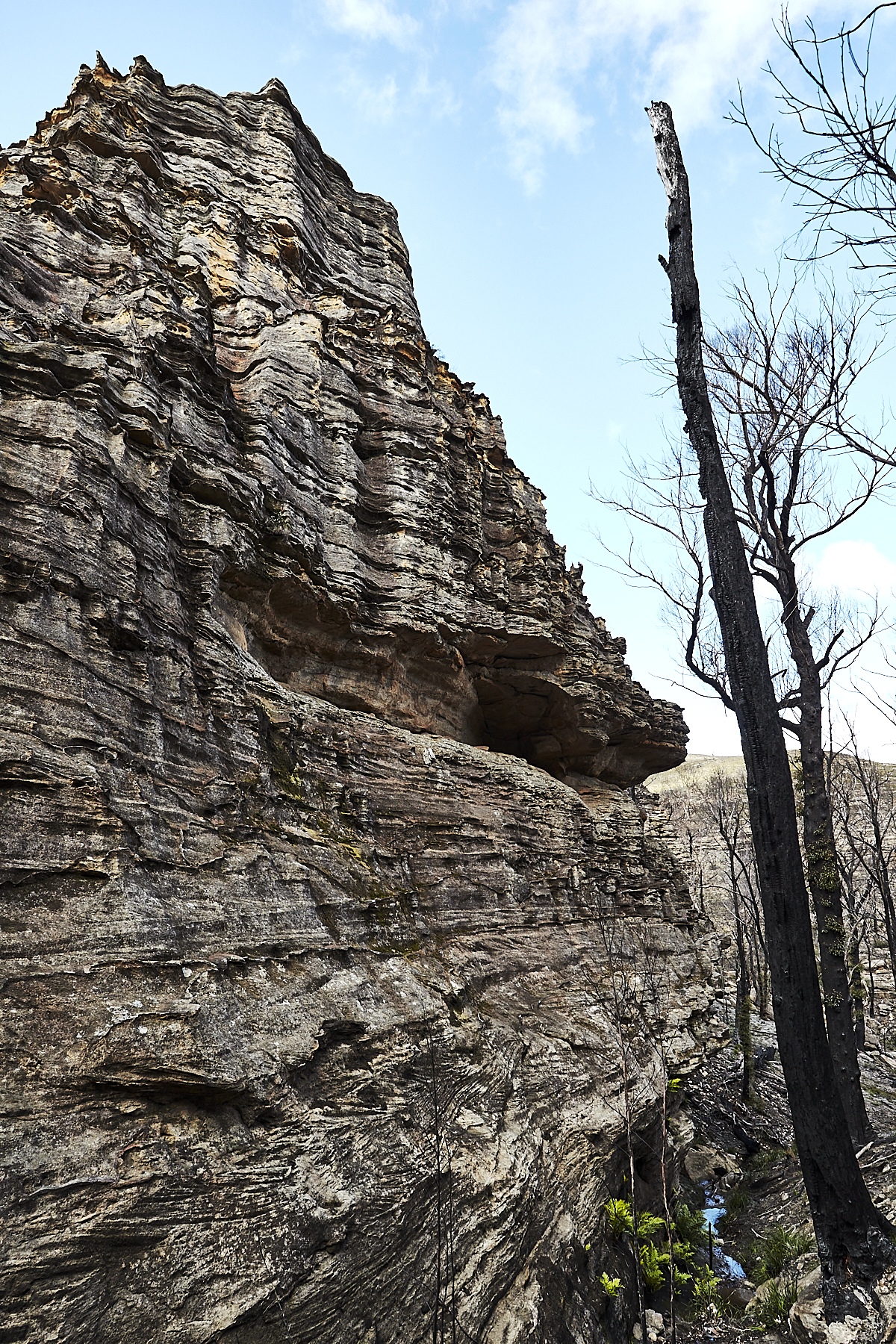 Lost City in the Blue Mountains after the Summer Bushfires of 2020