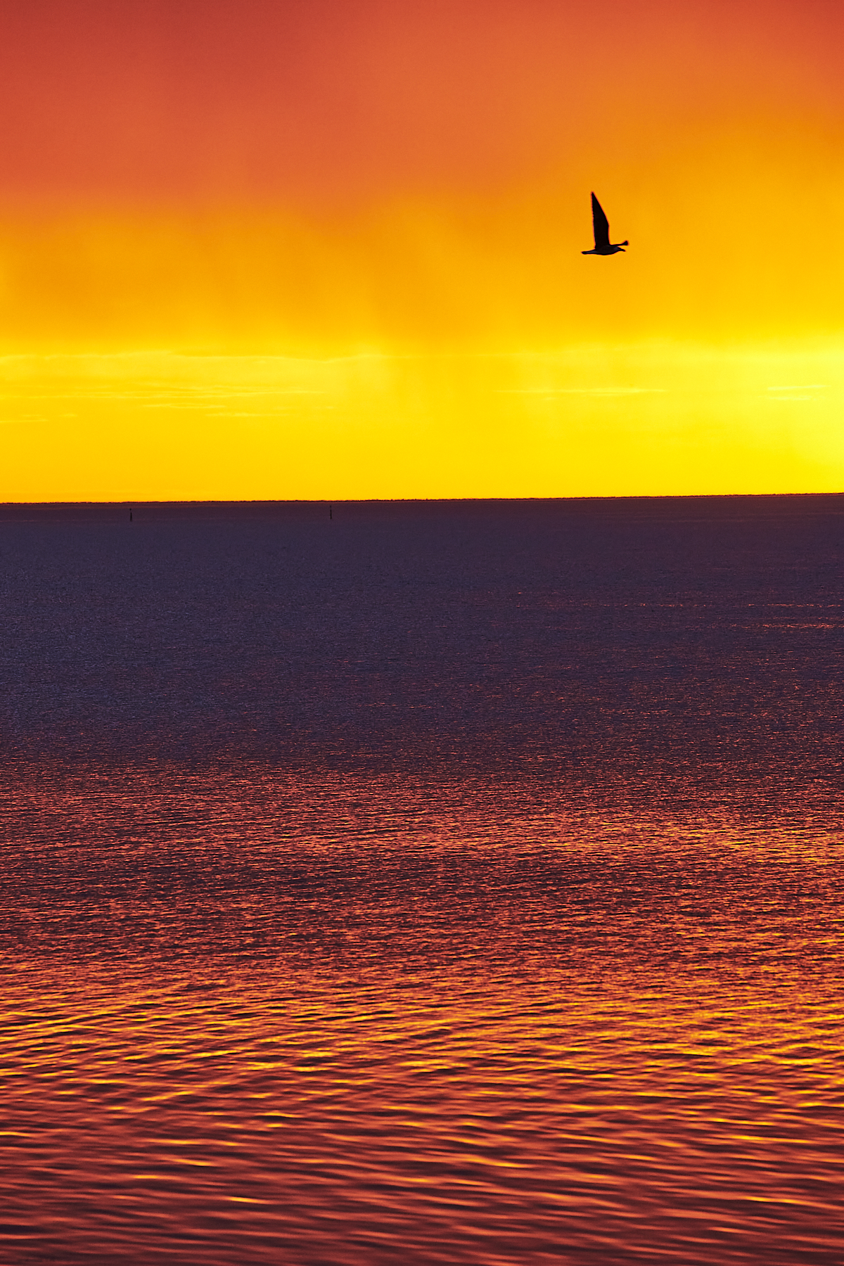 Sunset with colour at Ceduna, South Australia