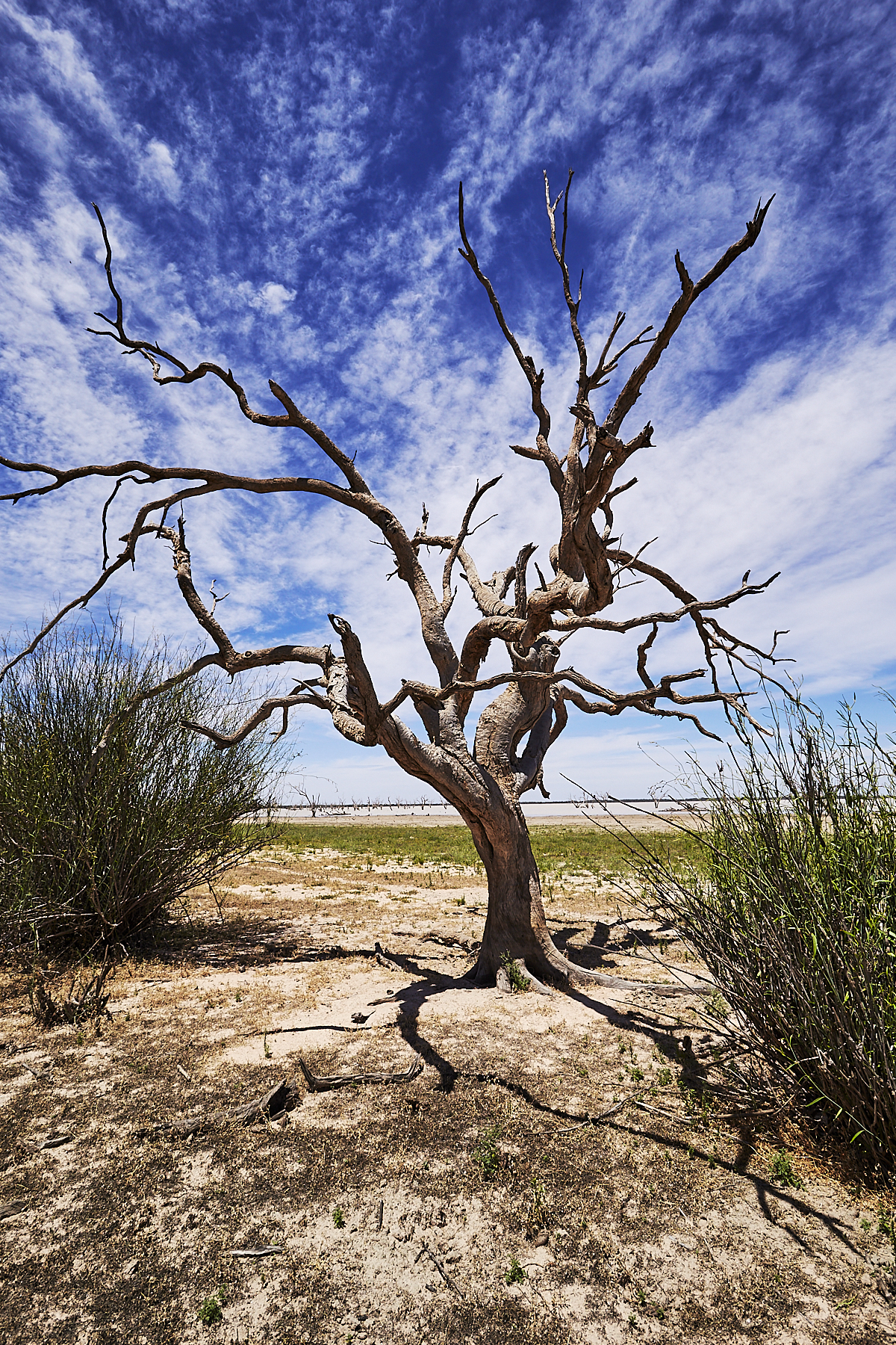 Balaka Lake, Menindee NSW