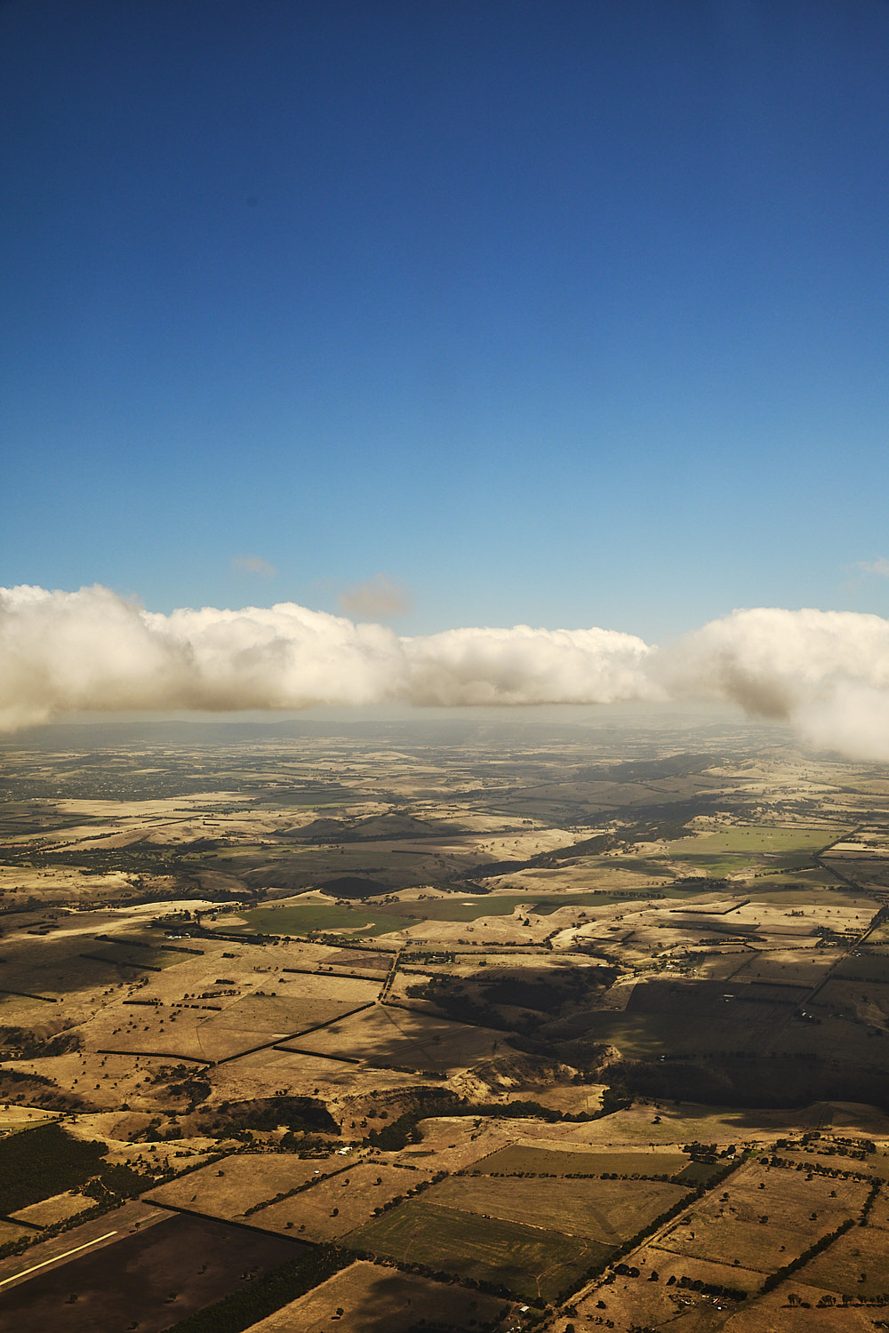 Sydney > Melbourne QF435