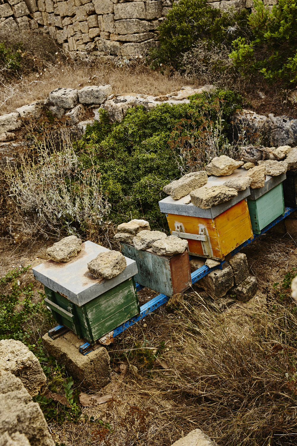 Favignana, Italy beekeeping