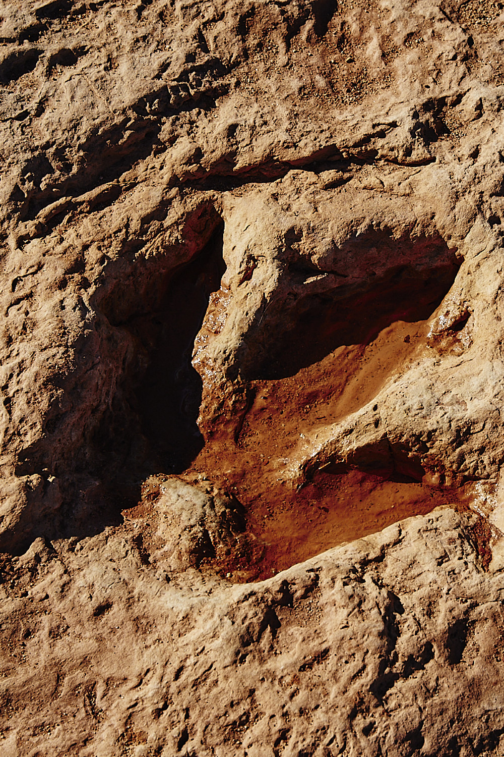 Navajo Moenave Dinosaur Tracks – Heading to Monument Valley